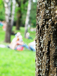 家庭休息红木树木公园橡树木头效果纹理背景图片