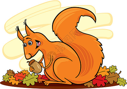 有坚果的松松鼠尾巴哺乳动物绘画插图漫画橡子动物树叶红色橡木图片