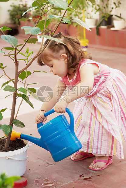 小园丁盆栽快乐园艺花坛喷壶粉色孩子蓝色植物童年图片