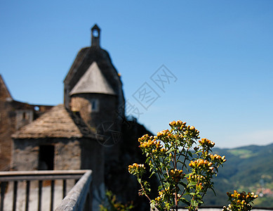 中世纪城堡和野生黄花的屋顶和塔楼图片