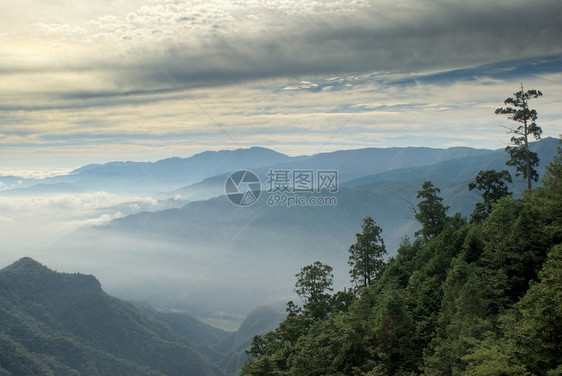 清晨 他们有十日的月光植物日出旅游季节地平线生长风景国家农村旅行图片