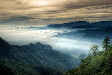 清晨 他们有十日的月光荒野季节公园场景风景日出旅游日落森林植物图片