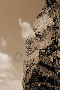 悬崖树石头天空旅行边缘环境场景孤独海鸥木头海岸线图片
