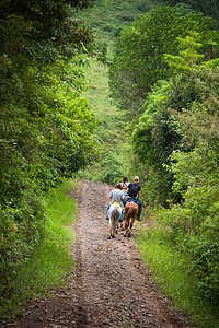 哥斯达黎加骑马观光客图片
