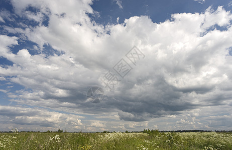 天空和字段地平线地面露天白色积雨花朵植物多云野性晴天图片