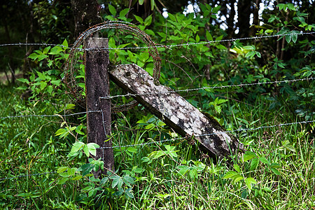 哥斯达黎加的铁丝网栅栏图片