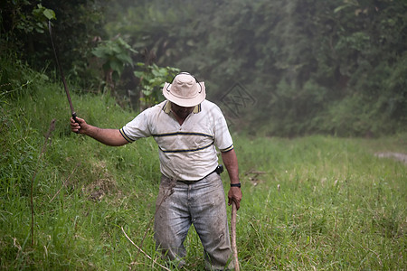 哥斯达黎加牧场的手植物森林帽子农场主义运动土地雨林靴子种植园图片