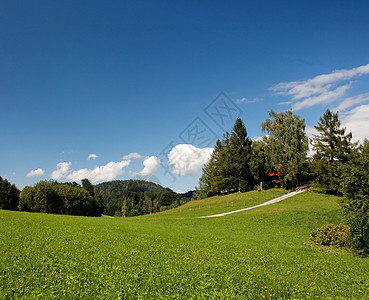 夏日阳光明媚的华尔平山草原草地叶子农村丘陵天空蓝色植被地毯小路滚动图片