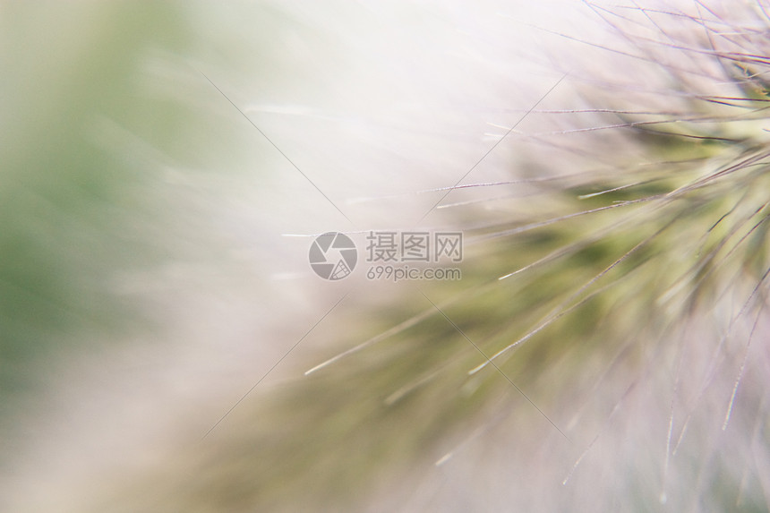 关键战役逆转取胜实录