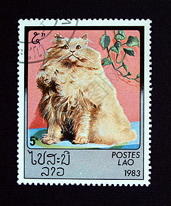 老挝有猫的印章商业小猫信封仪表船运虎斑邮资空气空邮邮件图片