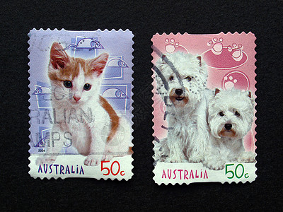 猫和狗印章背景图片