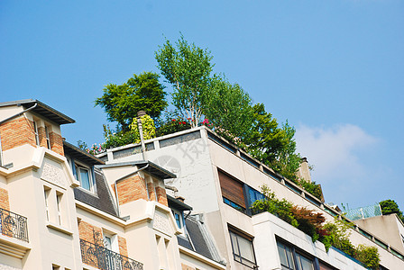 屋顶花园木头园艺建筑学植物酒店露台树木气候院子别墅图片