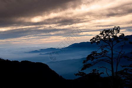 清晨 他们有十日的月光旅游阳光场景生长太阳植物森林农村季节风景图片