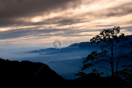 清晨 他们有十日的月光旅游阳光场景生长太阳植物森林农村季节风景图片