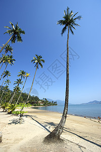 巴西伊尔哈贝拉热带目的地旅游风景异国海岸线天空海景气候情调图片