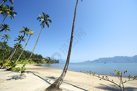 巴西伊尔哈贝拉海岸线目的地异国风景情调气候天空海景热带太阳图片