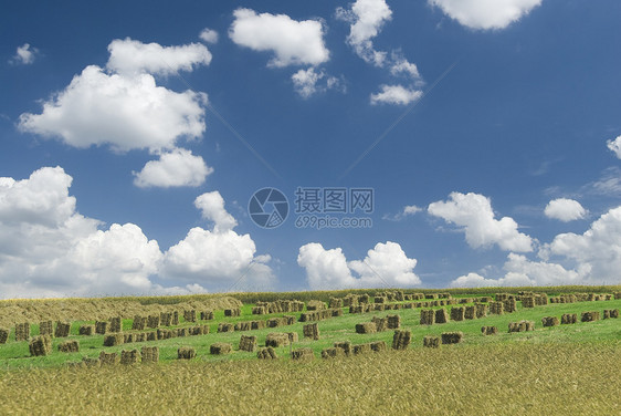 海在草地上蓝色干草机器假期村庄目的地场地天空旅游农场图片