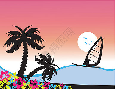 冲浪鸟类海浪晴天冲浪者运动海滩日落假期活动海洋背景图片