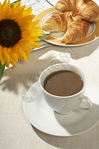 早餐杯子食物盘子咖啡饮料晴天羊角休息向日葵桌子图片