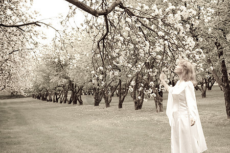 白娘子和白花公园公主小精灵树林白色衣服苹果树婚礼神话新娘图片