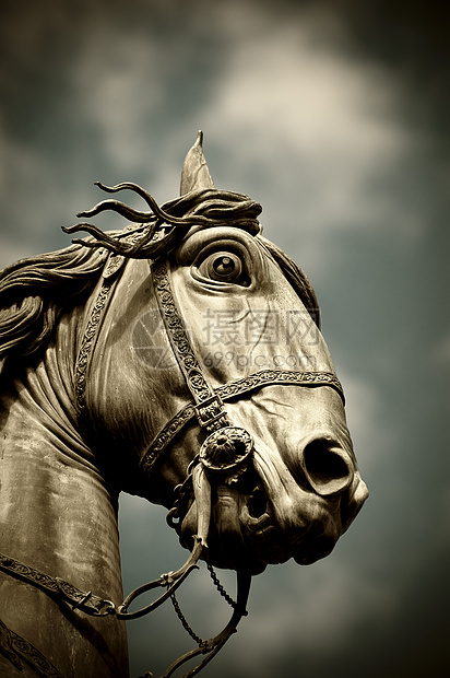 马雕像黑色纪念碑艺术品雕刻雕塑动物金属青铜白色力量图片