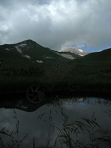 山山脉全景岩石草甸生物山丘植物群风景花朵斜坡旅行图片