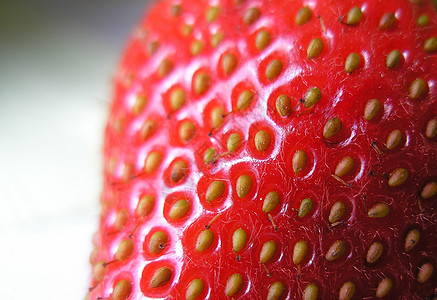 草莓浆果红色背景图片