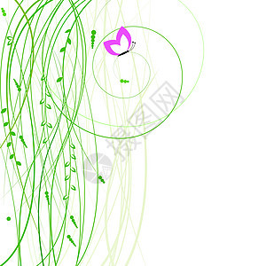 带有蝴蝶的摘要背景 矢量插图滚动口音绘画家庭生长电脑曲线艺术植物植物学图片