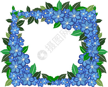 蓝色花花框边界装饰曲线绘画漩涡生长植物绿色叶子插图图片