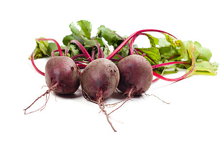 甜菜叶子收成树叶白色营养蔬菜花园健康紫色绿色图片