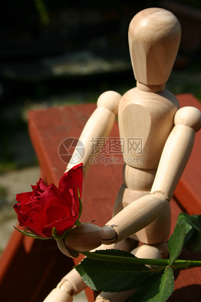 为所爱的人拿着红玫瑰女性热情玫瑰希望奉献男性红色概念图片