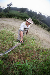 哥斯达黎加牧场的手场地土地帽子种植园运动爬坡牧场主靴子崎岖森林图片