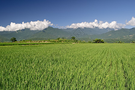 丰富多彩的农村风景图片