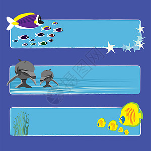 鱼旗1 无文字野生动物海洋框架海浪横幅边界艺术网络植物白色图片