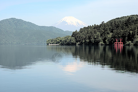 Fuji 上架图片