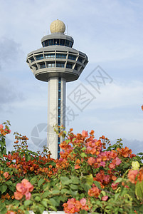 新加坡长吉机场塔 带有鲜花图片