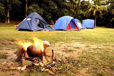 热带营地的椰子林营火营火闲暇火焰帐篷启发性休闲灯笼灯光图片