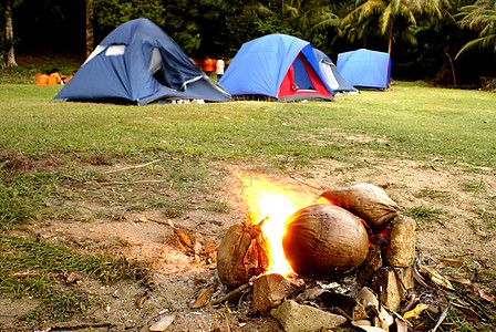 热带营地的椰子林营火闲暇休闲帐篷启发性营火火焰图片