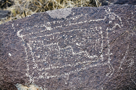 奶牛沙漠峡谷文化纪念碑遗址绘画旅游国家部落旅行图片
