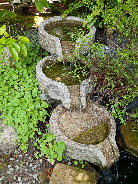 美丽的花园装饰式瀑布池图片