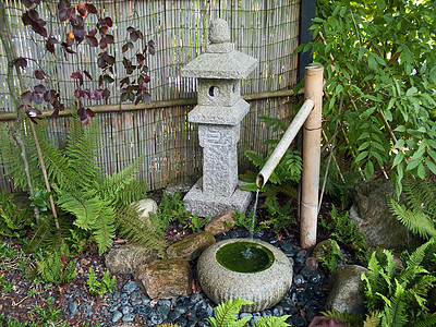 美丽的日本花园装饰式瀑布石头枝条植物池塘岩石沉思流动园艺树叶禅意图片