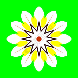 花坛花瓣宏观精神宗教植物群植物马赛克庆典插图圆圈图片