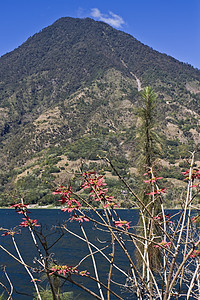 阿提兰湖附近的火山图片