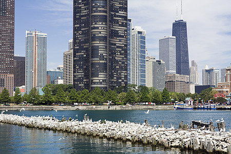 芝加哥从一艘船上图片