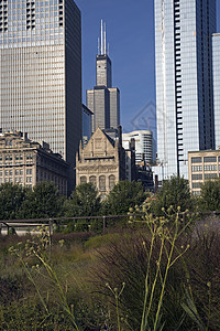 芝加哥市中心的Praire图片