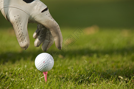 人手定位高尔夫球在Ttee上 特写图片