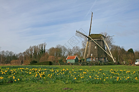 荷兰农村的风力车供电照片活力地标天空溪流铣削风车博物馆文化图片