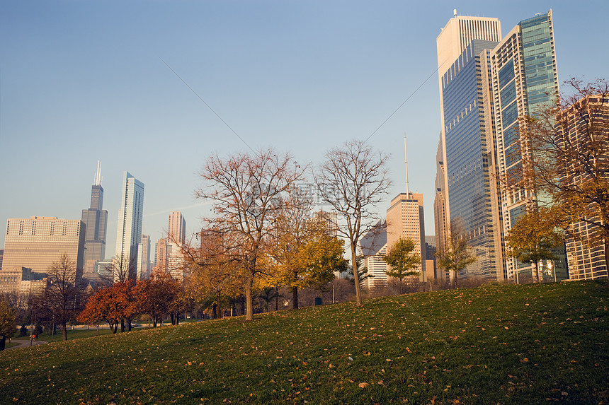 芝加哥秋天摩天大楼城市生活叶子天际市中心景观办公楼都市风光建筑学图片
