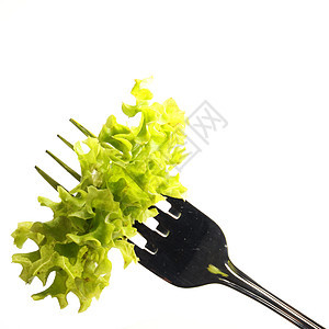 沙拉蔬菜食物草本植物绿色白色营养餐厅背景图片