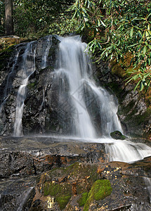 劳蕾尔瀑布在斯莫基山脉NP林地踪迹旅游桂冠山脉公园国家溪流环境瀑布图片